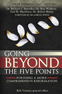 Baixar Going Beyond the Five Points: Pursuing a More Comprehensive Reformation (English Edition) pdf, epub, eBook