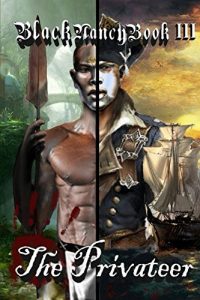 Baixar Black Nancy Book III: The Privateer (Black Nancy Book Sagas 3) (English Edition) pdf, epub, eBook