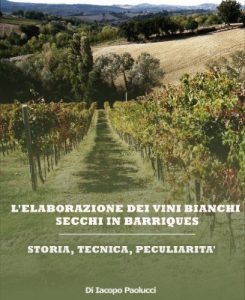 Baixar L’elaborazione dei vini bianchi secchi in barriques (Italian Edition) pdf, epub, eBook