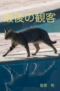 Baixar Last Audience (Japanese Edition) pdf, epub, eBook