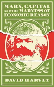 Baixar Marx, Capital and the Madness of Economic Reason pdf, epub, eBook