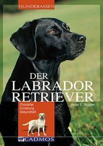 Baixar Labrador Retriever: Charakter, Erziehung, Gesundheit (Hunderassen) (German Edition) pdf, epub, eBook