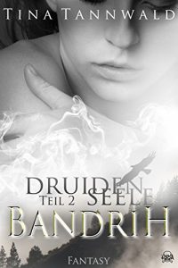 Baixar Druidenseele: Teil 2: Bandrih (German Edition) pdf, epub, eBook