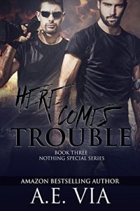 Baixar Here Comes Trouble (Nothing Special Book 3) (English Edition) pdf, epub, eBook