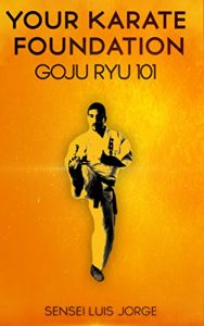 Baixar Your Karate Foundation: Goju Ryu (English Edition) pdf, epub, eBook