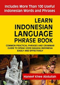 Baixar Learn Indonesian language Phrase Book: Common practical phrases and grammar guide to speak good Bahasa Indonesia easily and effectively (English Edition) pdf, epub, eBook