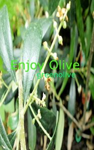Baixar enjoy olive: akusenkutounoolivesaibai (Japanese Edition) pdf, epub, eBook