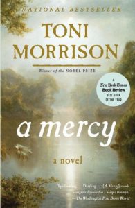 Baixar A Mercy pdf, epub, eBook
