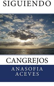 Baixar Siguiendo Cangrejos (Spanish Edition) pdf, epub, eBook