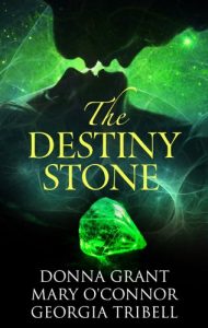 Baixar Destiny Stone (English Edition) pdf, epub, eBook