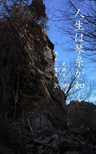 Baixar Life is like  an instrument string (Japanese Edition) pdf, epub, eBook