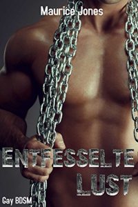 Baixar Entfesselte Lust (Gay BDSM) (German Edition) pdf, epub, eBook