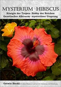 Baixar Mysterium Hibiscus (German Edition) pdf, epub, eBook