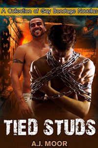 Baixar Tied Studs: A Collection of Gay Bondage Novellas (English Edition) pdf, epub, eBook