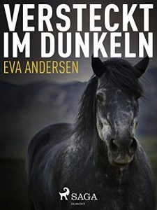 Baixar Versteckt im Dunkeln pdf, epub, eBook