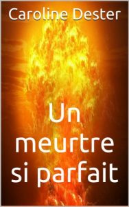 Baixar Un meurtre si parfait (French Edition) pdf, epub, eBook