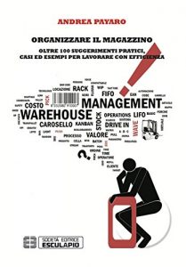 Baixar Organizzare il magazzino: Oltre 100 suggerimenti pratici casi ed esempi per lavorare con efficienza (Italian Edition) pdf, epub, eBook