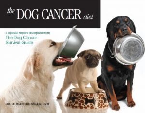 Baixar The Dog Cancer Diet (English Edition) pdf, epub, eBook