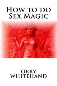Baixar How to do Sex Magic (Apophis Club Practical Guides Book 6) (English Edition) pdf, epub, eBook