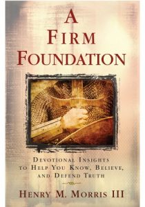 Baixar A Firm Foundation (English Edition) pdf, epub, eBook