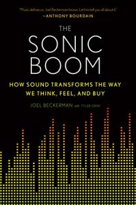 Baixar The Sonic Boom: How Sound Transforms the Way We Think, Feel, and Buy pdf, epub, eBook