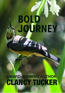 Baixar Bold Journey (English Edition) pdf, epub, eBook