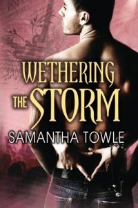 Baixar Wethering the Storm (The Storm series Book 2) (English Edition) pdf, epub, eBook