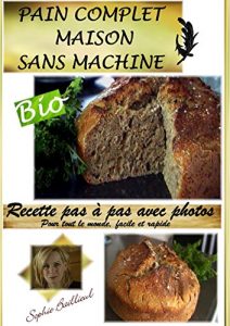 Baixar RECETTE PAIN COMPLET SANS MACHINE: RECETTE PAS A PAS FACILE ET RAPIDE (French Edition) pdf, epub, eBook