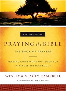 Baixar Praying the Bible: The Book of Prayers pdf, epub, eBook