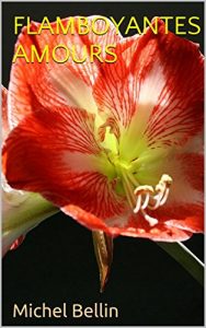 Baixar FLAMBOYANTES AMOURS (French Edition) pdf, epub, eBook
