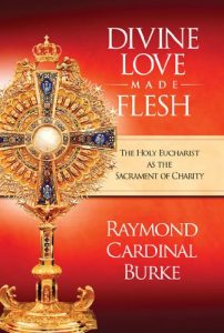 Baixar Divine Love Made Flesh (English Edition) pdf, epub, eBook
