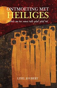Baixar Ontmoeting met heiliges: Verhale van hoe mense hulle geloof geleef het (Afrikaans Edition) pdf, epub, eBook