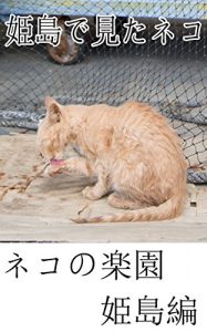 Baixar himesimademitaneko: nekonorakuenhimesimahen (Japanese Edition) pdf, epub, eBook