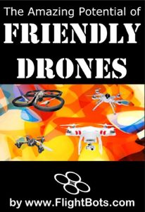 Baixar The Amazing Potential of Friendly Drones (English Edition) pdf, epub, eBook