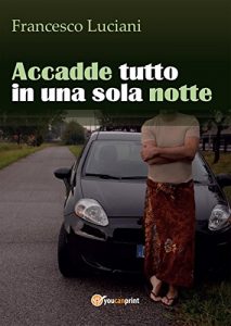 Baixar Accadde tutto in una sola notte pdf, epub, eBook