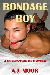 Baixar Bondage Boy: A Collection of Novels (English Edition) pdf, epub, eBook