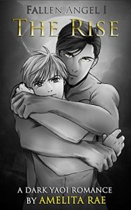 Baixar The Rise: A Dark Yaoi Romance (Fallen Angel Book 1) (English Edition) pdf, epub, eBook
