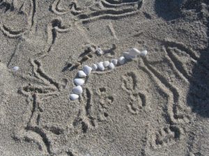 Baixar Un viaje azul (Spanish Edition) pdf, epub, eBook