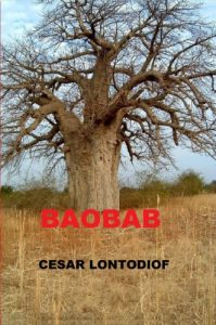 Baixar BAOBAB (French Edition) pdf, epub, eBook