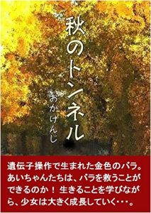 Baixar Autumn tunnel (Word LIghtas) (Japanese Edition) pdf, epub, eBook
