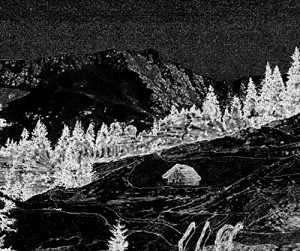 Baixar Siempre viviente: Toujours vivant (French Edition) pdf, epub, eBook