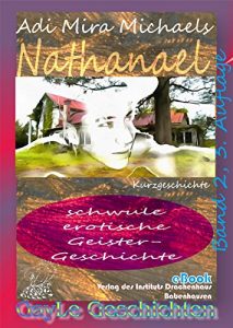 Baixar Nathanael: eine schwul-erotische Geistergeschichte (GayLe Geschichten 3) (German Edition) pdf, epub, eBook