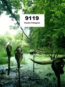 Baixar 9119 (Italian Edition) pdf, epub, eBook