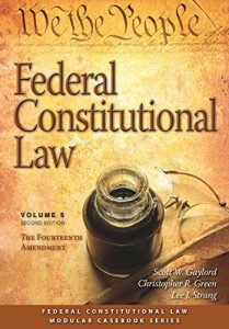 Baixar Federal Constitutional Law (Volume 5): The Fourteenth Amendment, Second Edition (Modular Casebook) pdf, epub, eBook