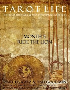 Baixar Tarot Life Book 5: Ride the Lion (English Edition) pdf, epub, eBook