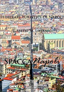 Baixar Itinerari turistici di Napoli – 1 SpaccaNapoli pdf, epub, eBook