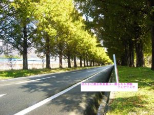 Baixar tabinojikomannzokusyasinnsyuuomomukiarukeikann (Japanese Edition) pdf, epub, eBook