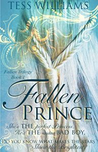 Baixar Fallen Prince: Fallen Trilogy book 1 (English Edition) pdf, epub, eBook