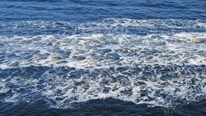 Baixar Lebensbetrachtungen (German Edition) pdf, epub, eBook