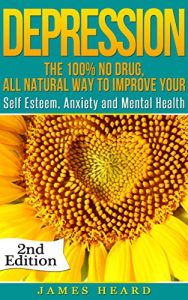 Baixar Depression: The 100% No Drug, All Natural Way To Improve Your Self Esteem, Anxiety and Mental Health (Mood Disorders, Depression and Anxiety, Overcome … Natural Remedies) (English Edition) pdf, epub, eBook